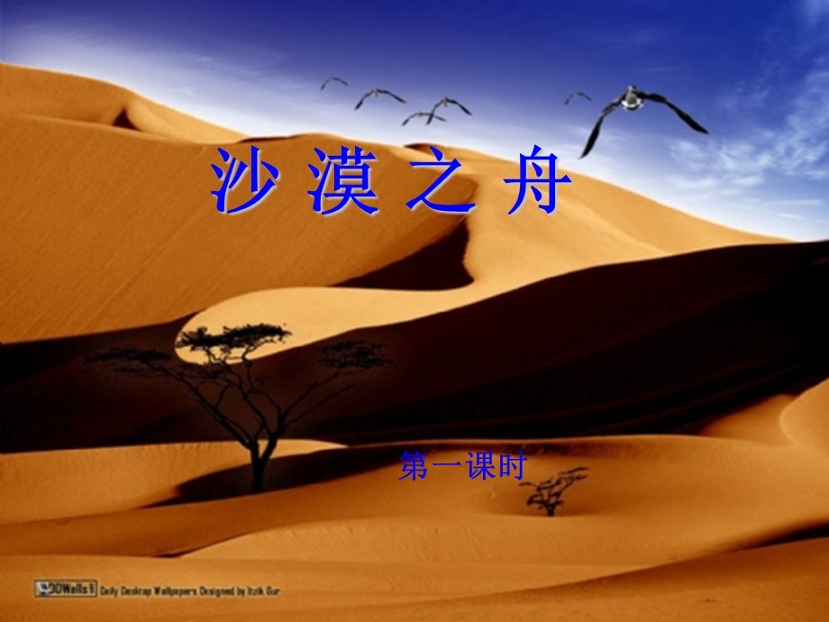 沙漠之舟(北师大版小学语文四年级下册课件).ppt_第3页