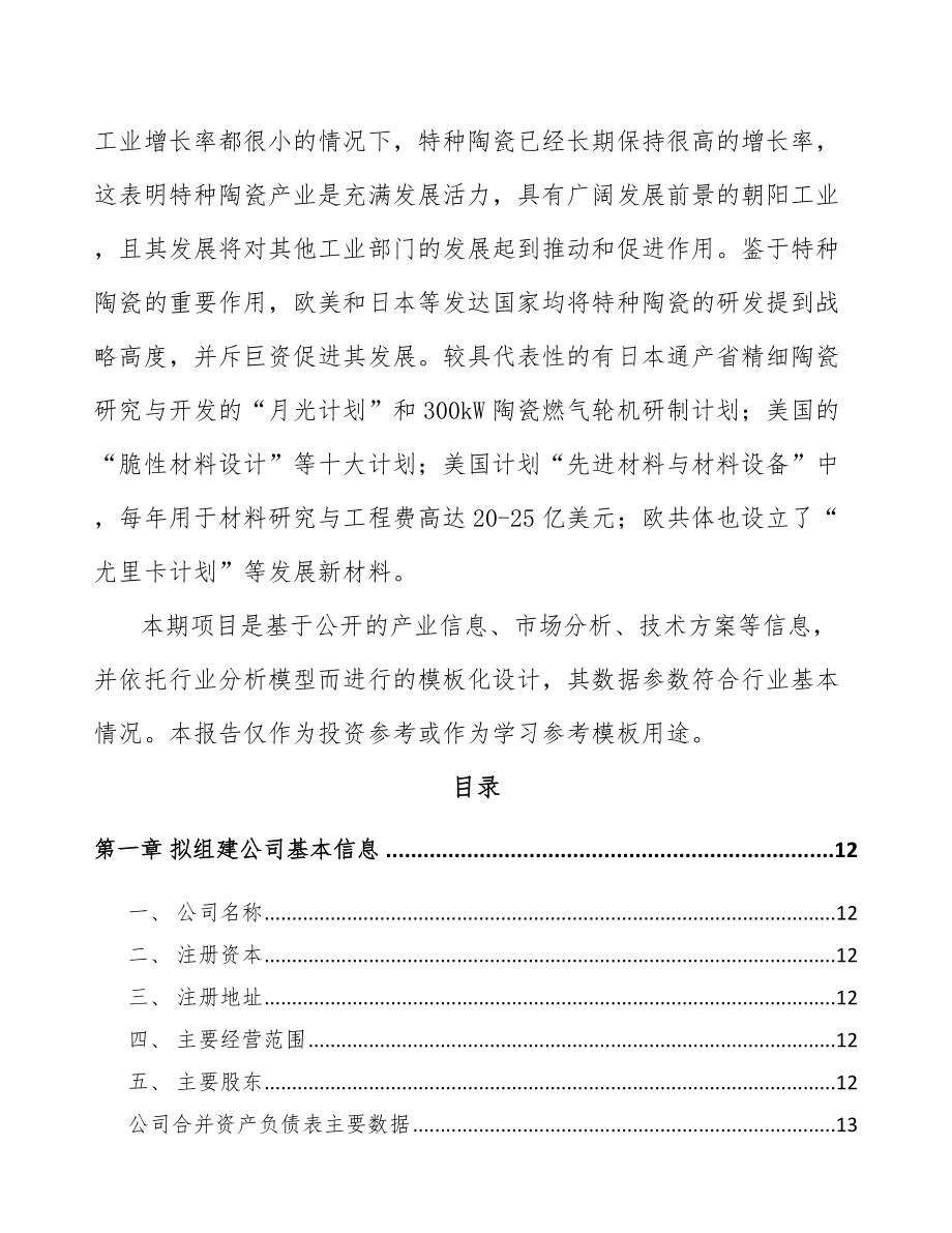 大同关于成立特种陶瓷制品公司可行性研究报告.docx_第3页