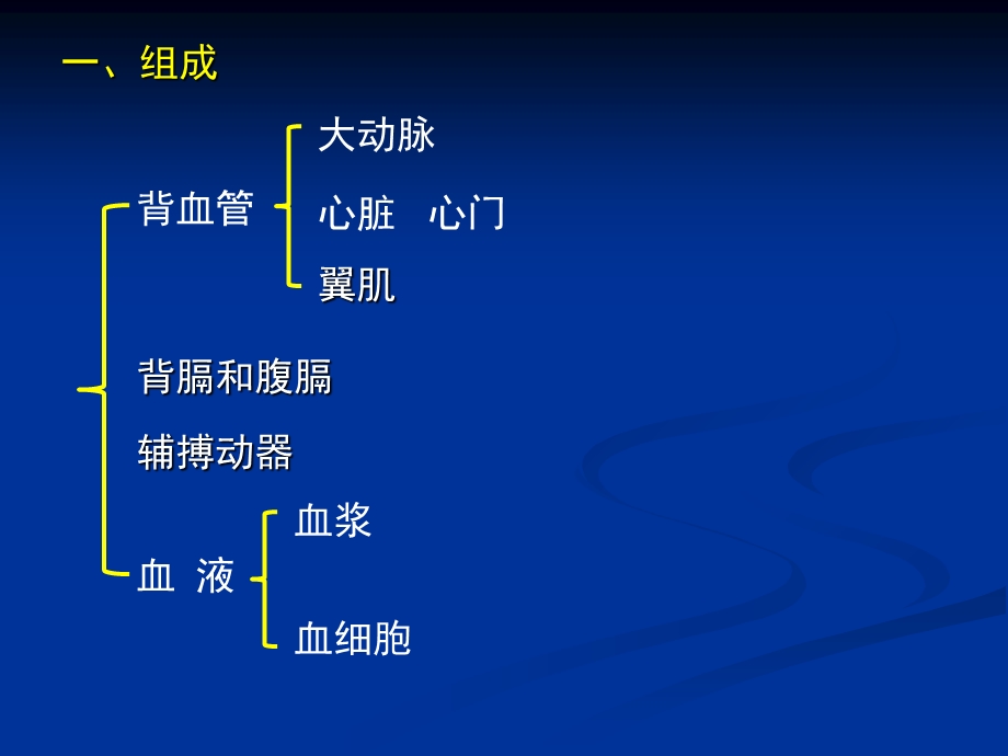 昆虫学课件第四章昆虫的循环和呼吸系统.ppt_第2页