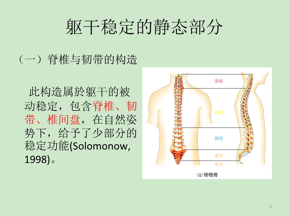 核心肌群及训练方法.ppt_第3页