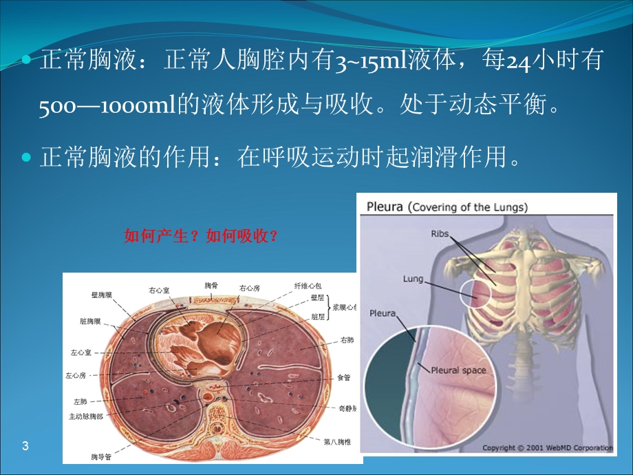 第十一章 胸腔积液 ppt课件.ppt_第3页