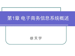 电子商务信息系统概述.ppt