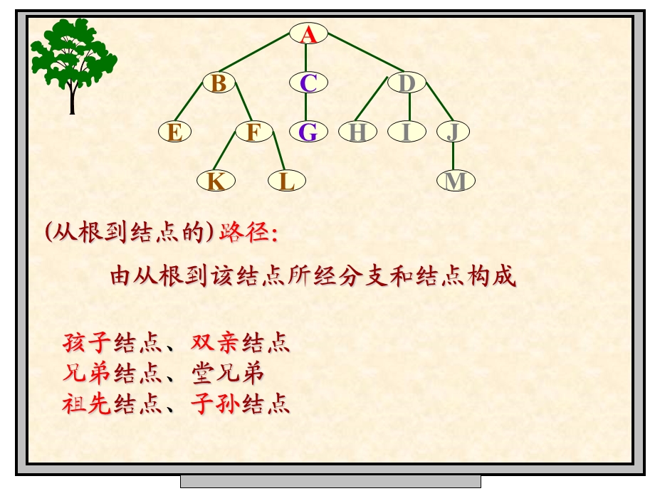 数据结构第六章 树和二叉树.ppt_第3页