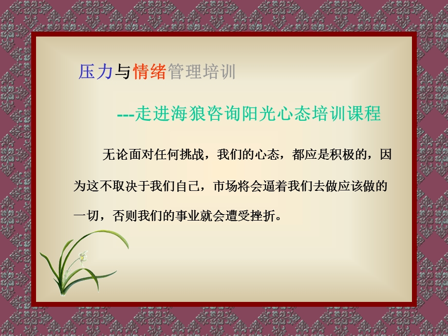 拓展培训方案-阳光心态.ppt_第2页