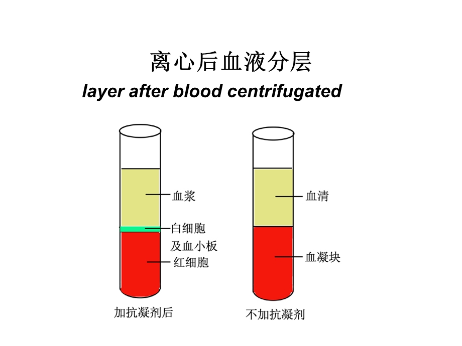 红细胞比容、血红蛋白测定.ppt_第2页