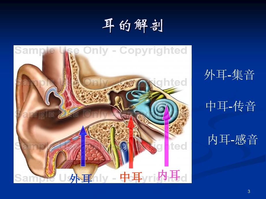 耳鼻咽喉头颈外科学六03.03耳聋的防治.ppt_第3页