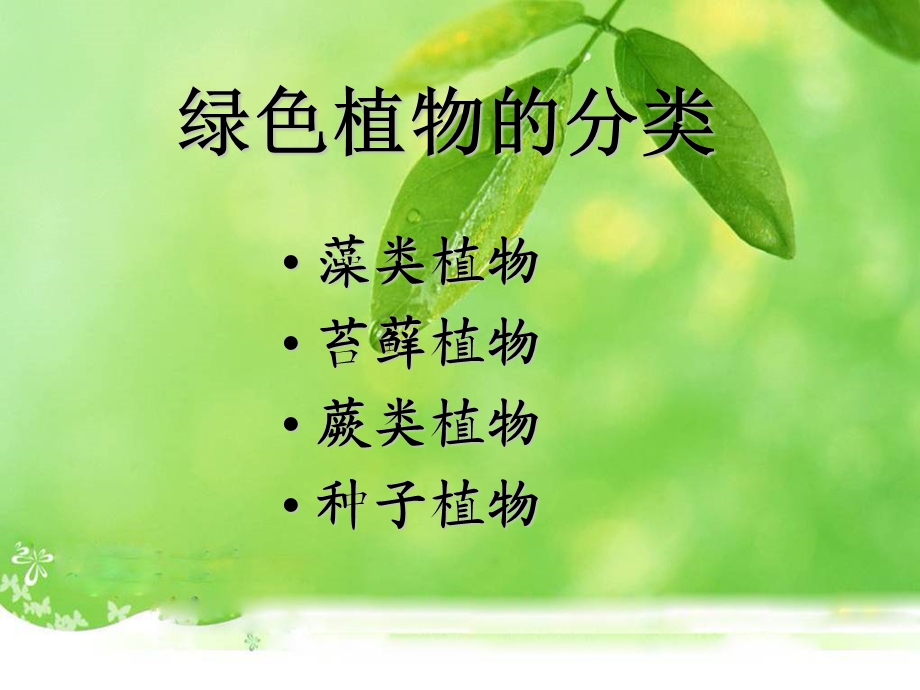 第一节藻类苔藓和蕨类植物.ppt_第2页