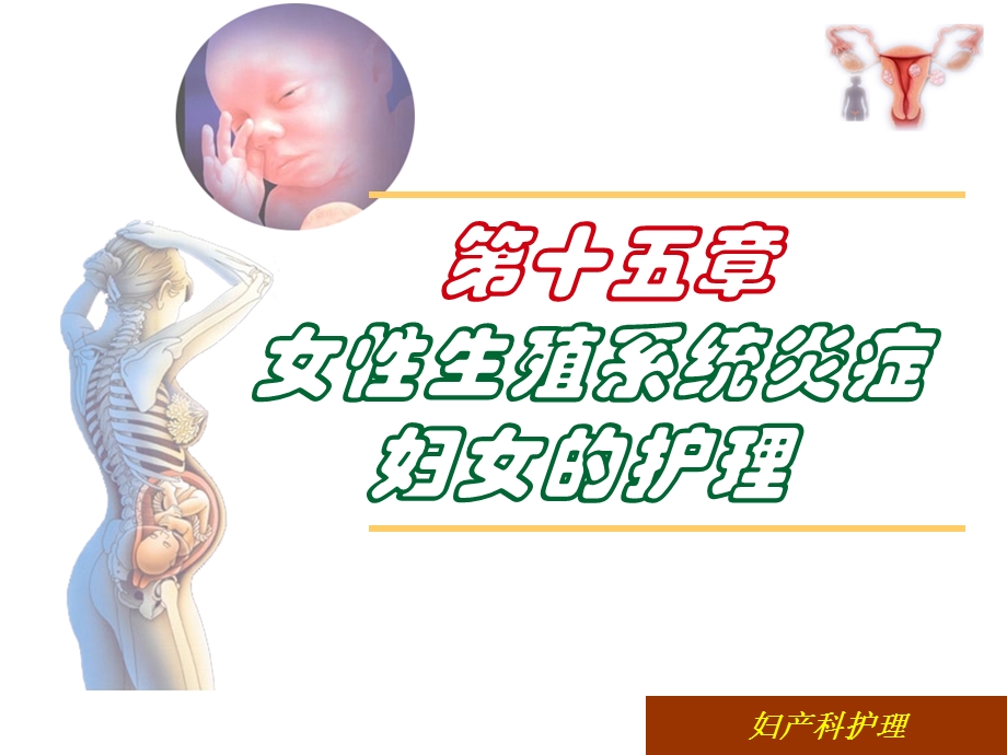 第十五章生殖器炎症护理.ppt_第1页