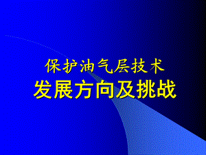 保护油气层技术发展方向及挑战.ppt