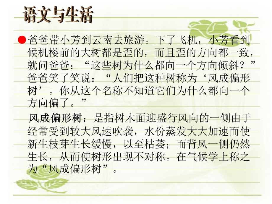 苏教六年级语文上册练习5课件-杨会丽.ppt_第2页