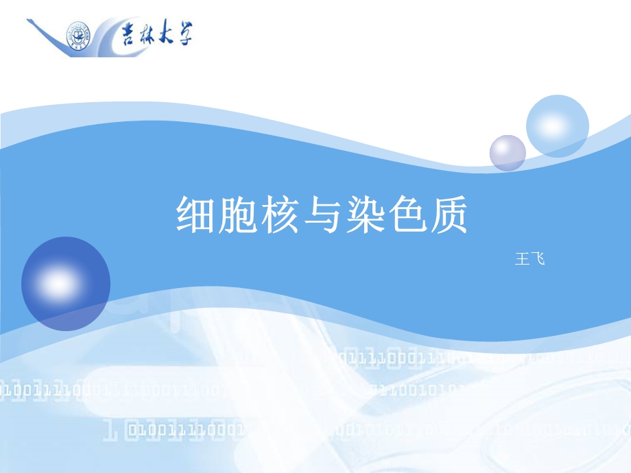 细胞核与染色质-学生打印版.ppt_第1页