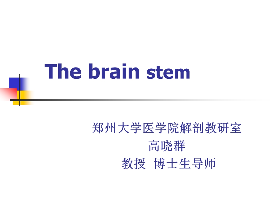系统解剖学14-脑干.ppt_第1页