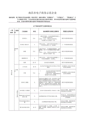 南昌市电子商务示范企业.docx