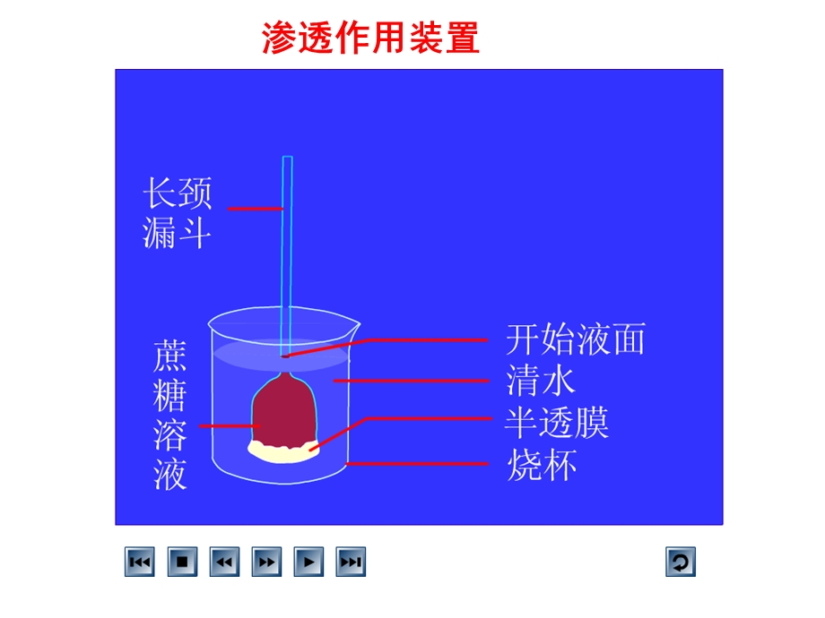 高三生物一轮复习物质跨膜运输的实例和方式.ppt_第2页