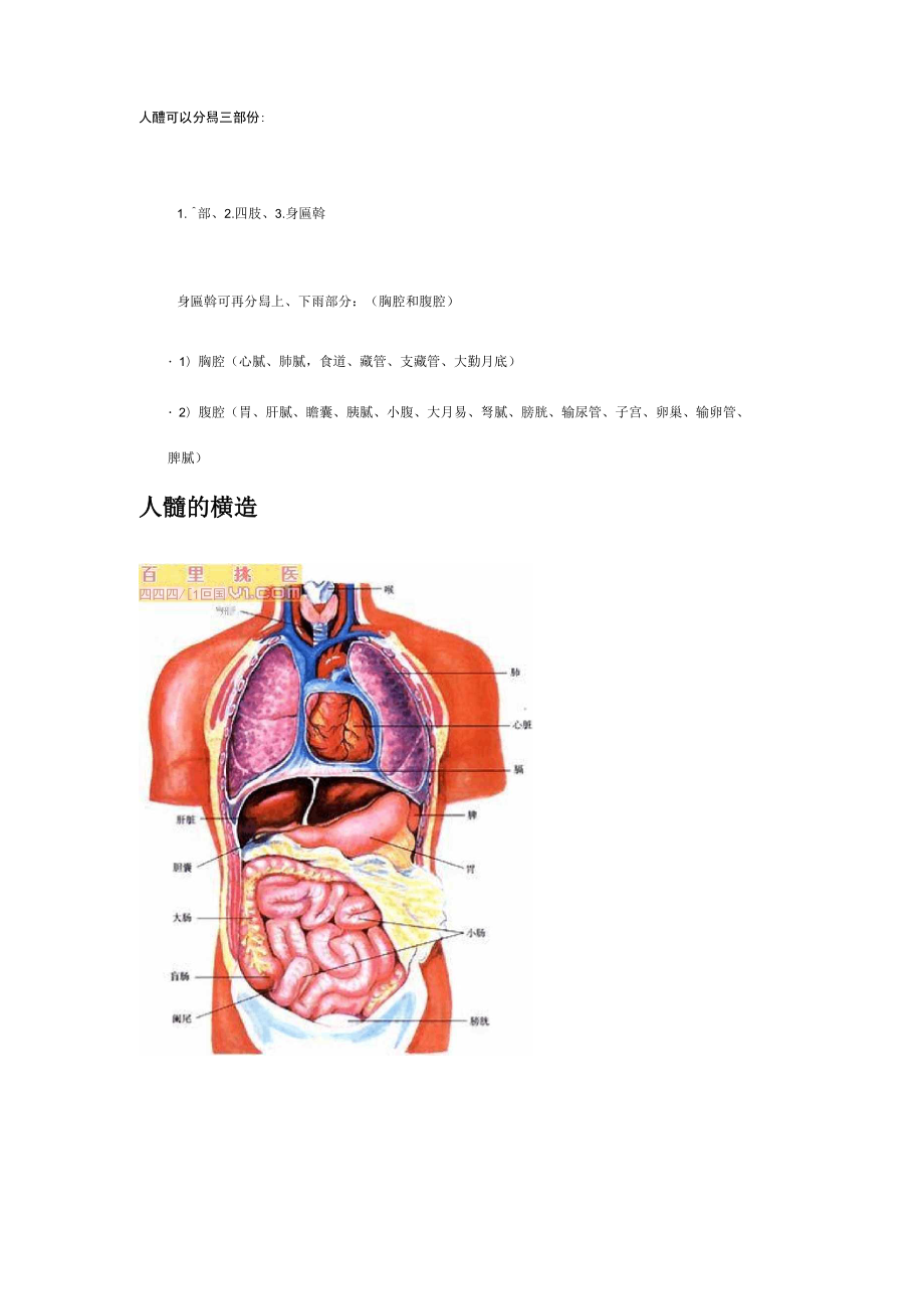人体生理结构.docx_第1页
