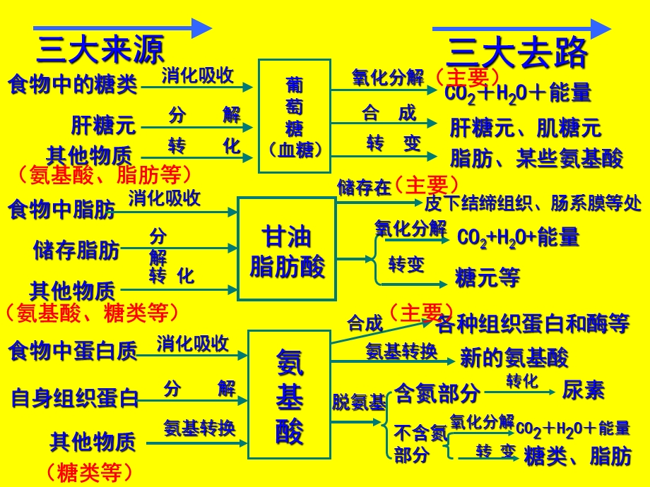 高二生物三大营养物质的代谢.ppt_第3页