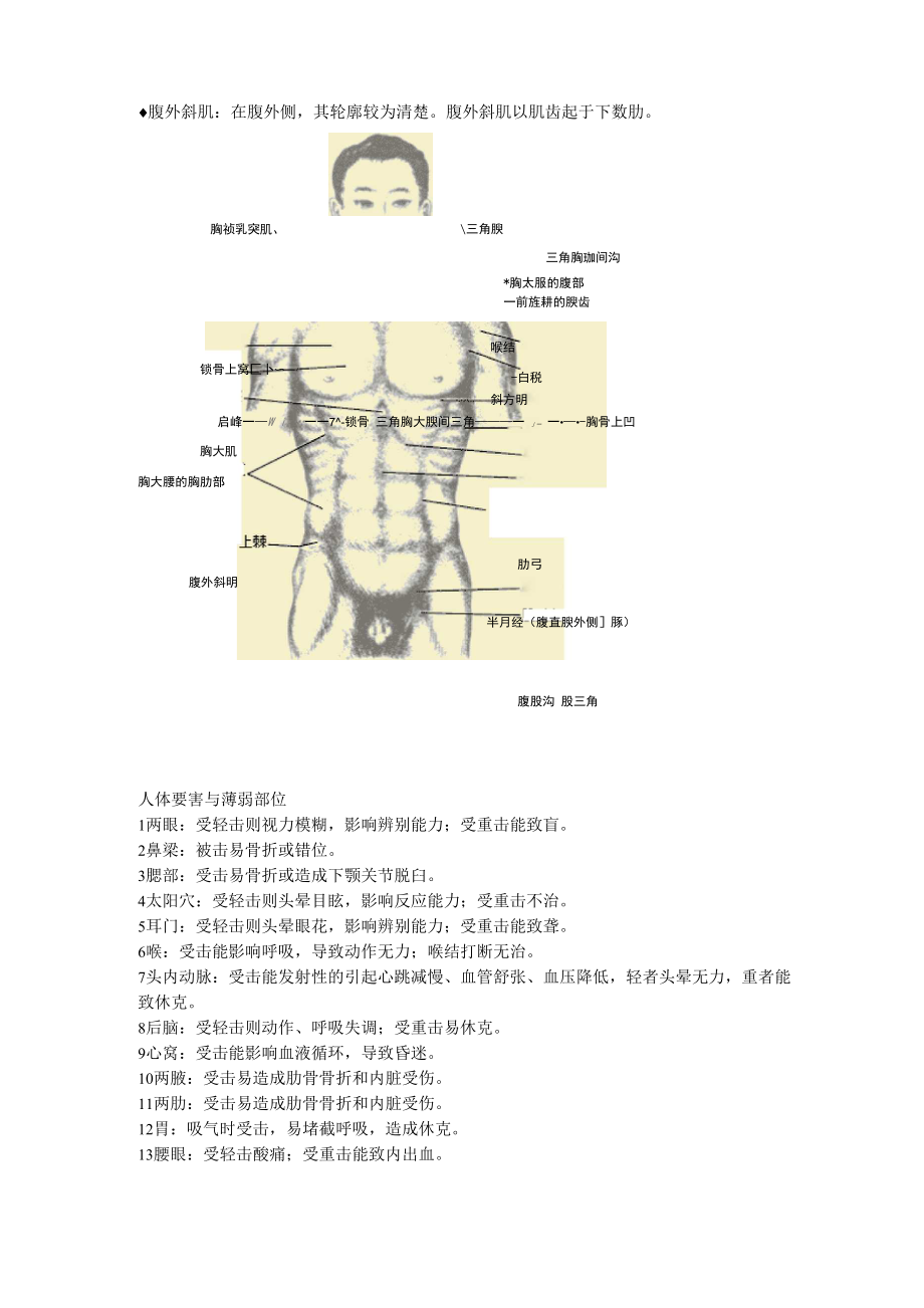 人体基本常识.docx_第3页