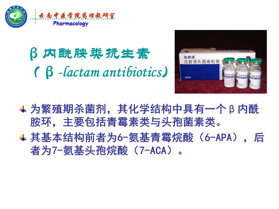 β－内酰胺类抗生素药理学课件PPT文档.ppt_第2页
