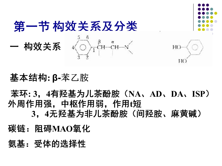 B10肾上腺素受体激动文档资料.ppt_第1页