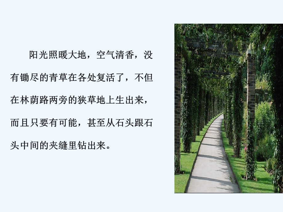 七年级语文上册《石缝间的生命》课件 上海五四制版.ppt_第2页
