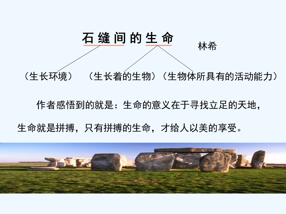 七年级语文上册《石缝间的生命》课件 上海五四制版.ppt_第3页