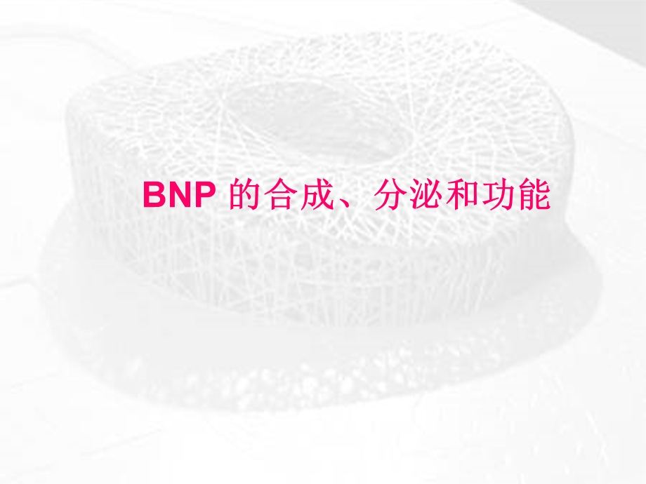 BNP及NTproBNP的临床应用课件幻灯PPT文档资料.ppt_第2页