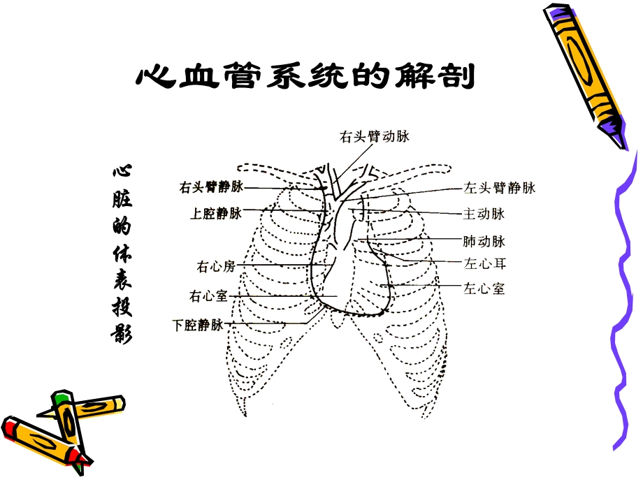 最新CVP临床意义PPT文档.ppt_第3页