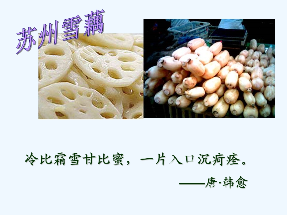 七年级语文上册《藕与莼菜》课件 上海五四制版.ppt_第3页