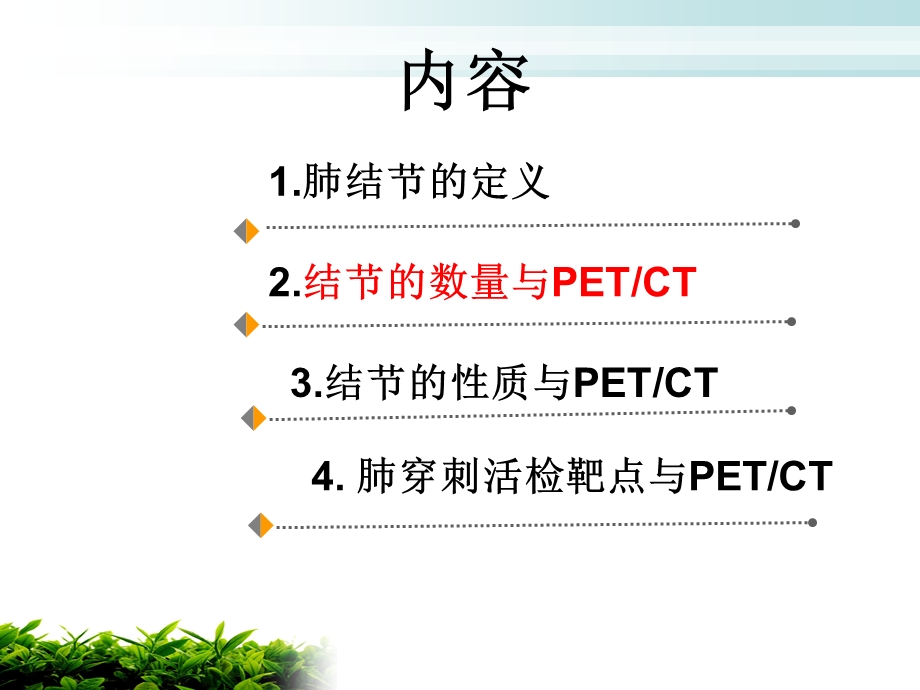 petct在肺内小结节诊断中的应用董文文档资料.ppt_第3页