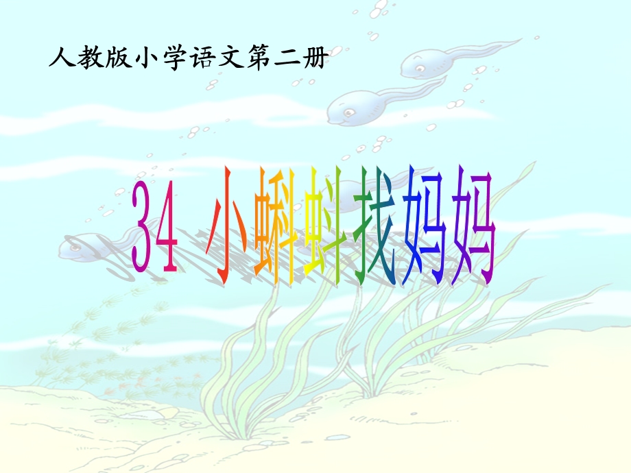 34　小蝌蚪找妈妈2[精选文档].ppt_第1页