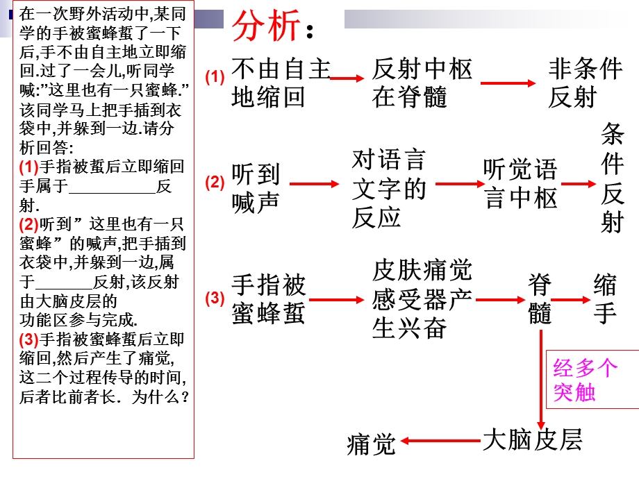 人脑的高级功能文档资料.ppt_第2页