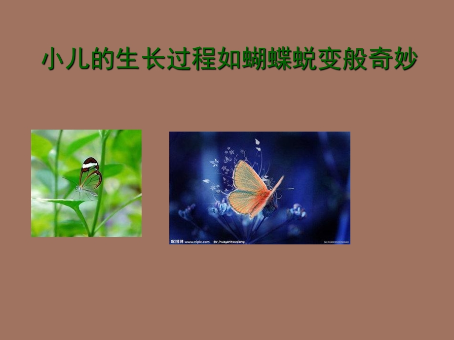 儿科护理学生长发育.ppt_第2页