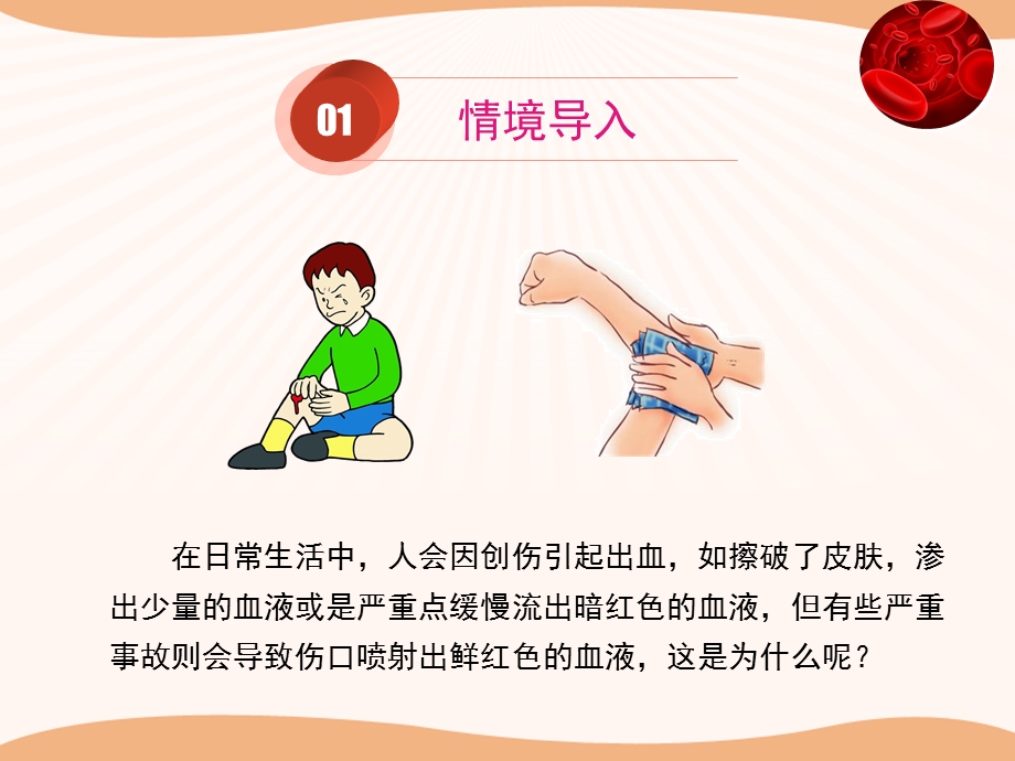 《运输物质的器官》.ppt_第2页