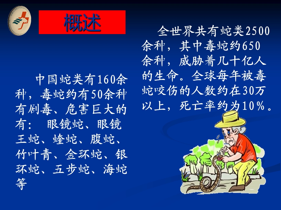 《户外应急救护》ppt课件.ppt_第3页