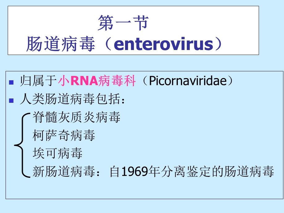 《肠道病毒》课件.ppt_第3页