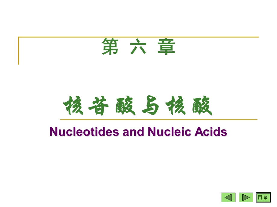 《核苷酸与核酸》课件.ppt_第1页