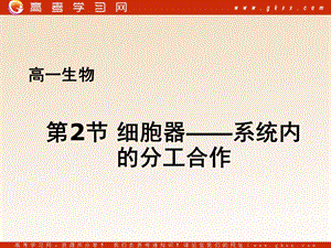 《细胞器-系统内的分工合作》eee.ppt