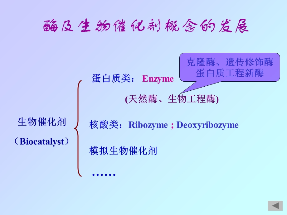 《酶和维生素》课件.ppt_第3页