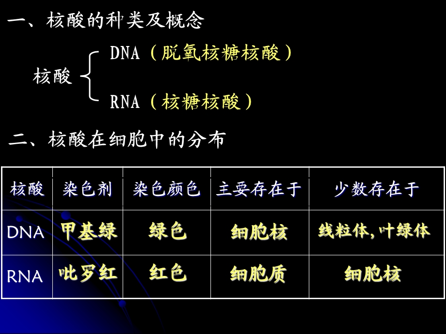 《遗传信息的携带者-核酸》教学课件.ppt_第3页