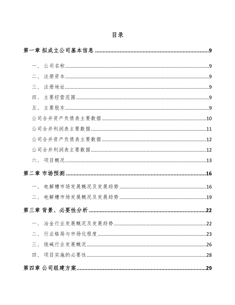 宁波关于成立电解槽公司可行性研究报告.docx_第2页