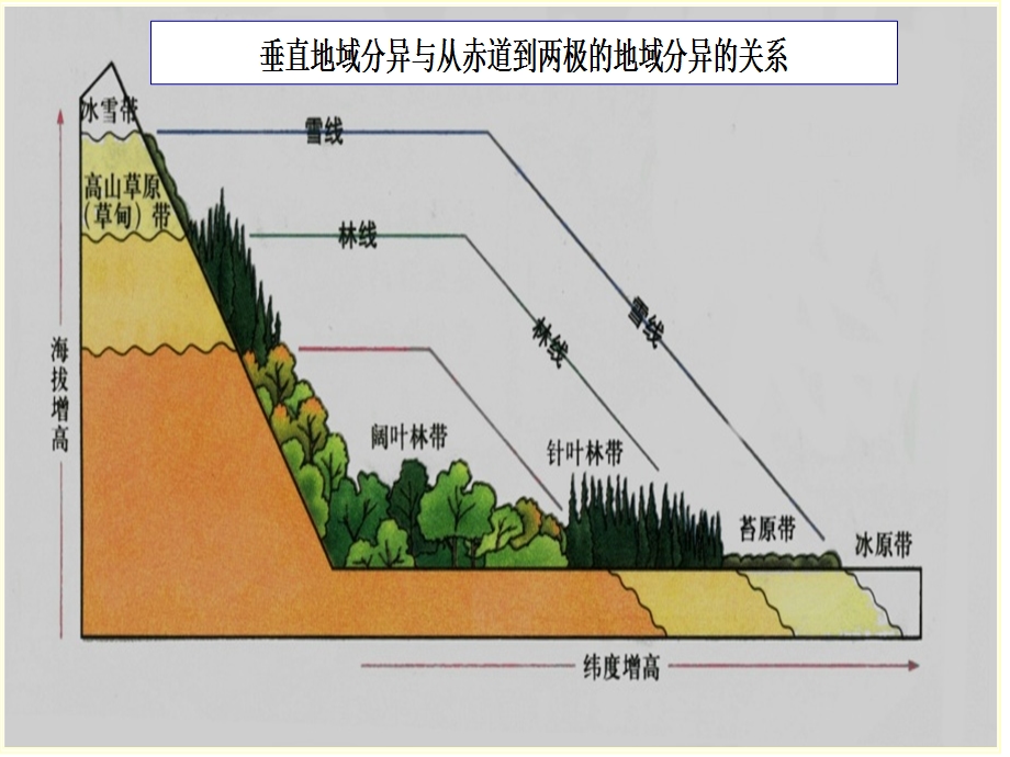 垂直分异和地方性分异规律.ppt_第2页