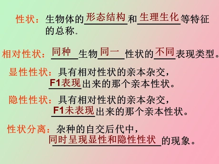 分离定律第二课时正式.ppt_第3页