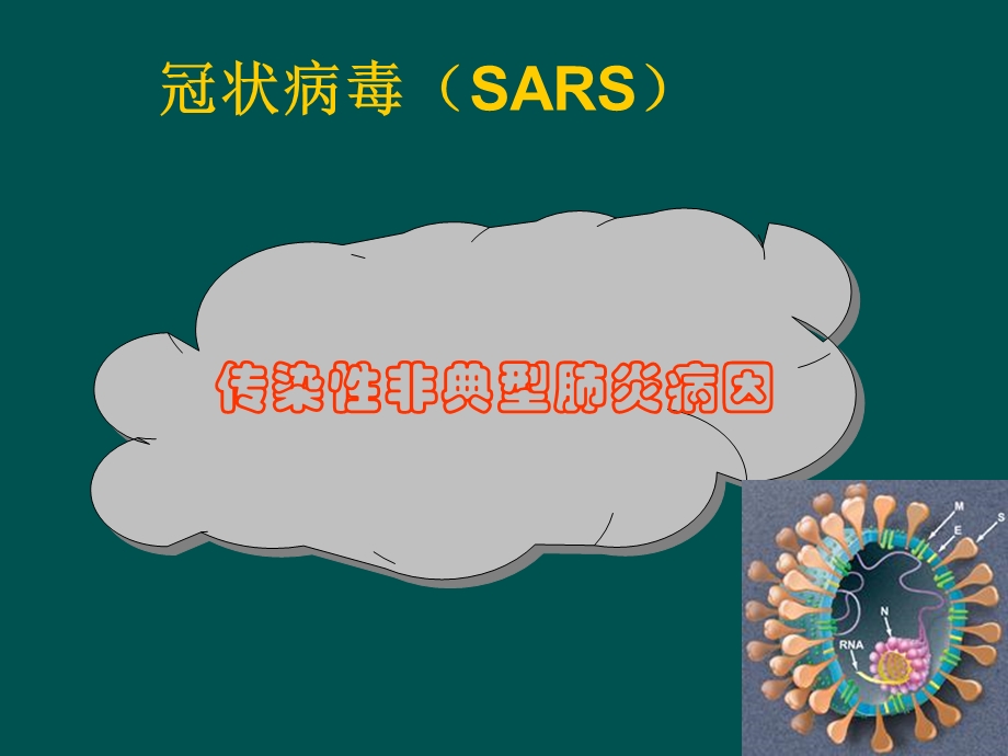 北工大微生物学第3章SARS.ppt_第2页