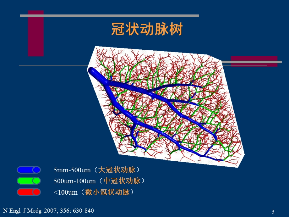 冠状动脉微血管病变和对策.ppt_第3页