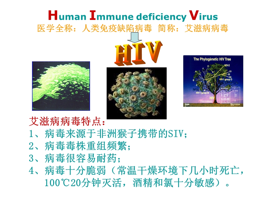 大学艾滋病防控.ppt_第3页