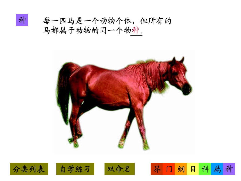 八年级生物从种到界课件2新人教版.ppt_第2页