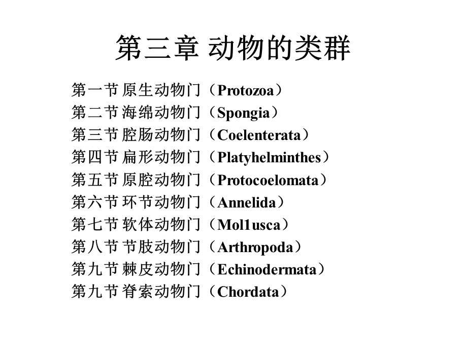 动物的基本类群.ppt_第1页