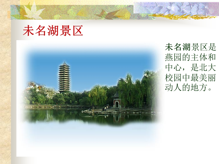 初一语文《十三岁的际遇》PPT课件.ppt_第3页