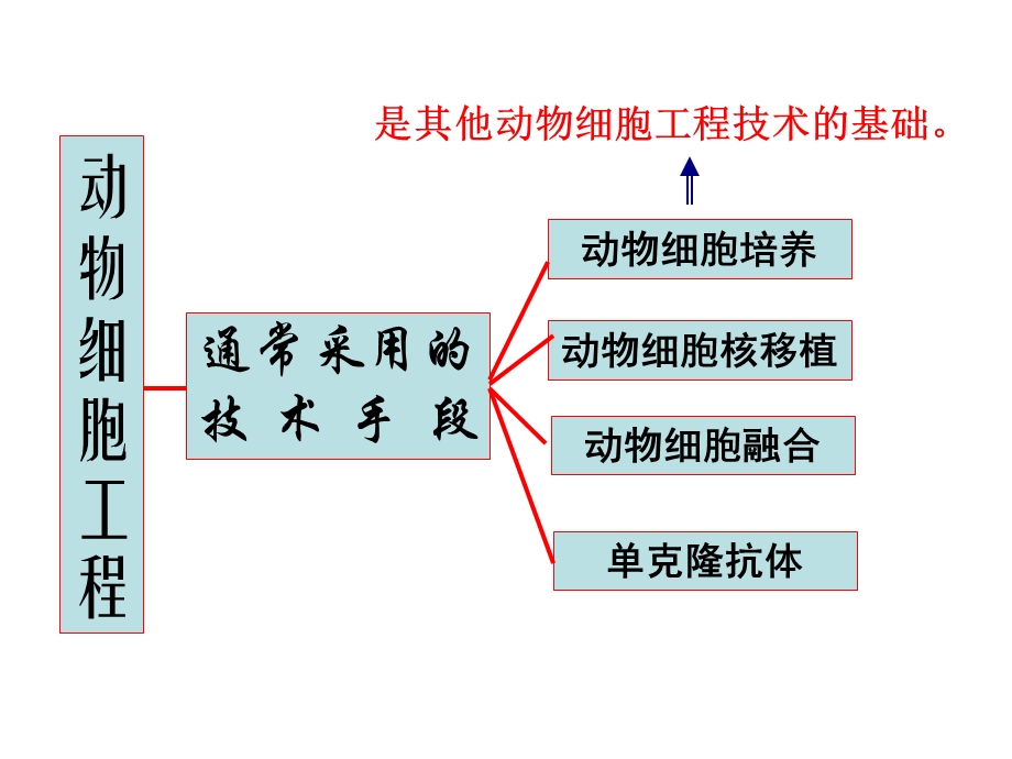 动物细胞培养和核移植技术1ppt.ppt_第2页