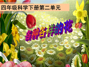 各种各样的花_课件 (3).ppt